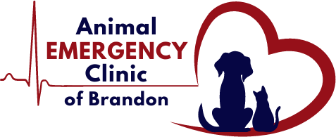 Animal Emergency Clinic of Brandon